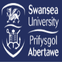 Swansea University Elite International Sports Scholarship (EISS) in UK